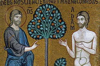 Chapelle palatine de Palerme
Mosaïque byzantine
La Genèse
Dieu, Adam et l'arbre de la