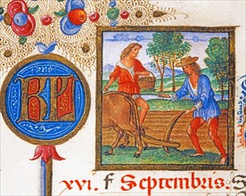 Breviaire d'Ercole d'Este: Ploughing and sowing