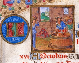 Breviaire d'Ercole d'Este: The crushing of grapes