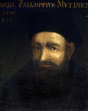 Portrait of Gabriele Falloppio