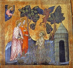 Saint Francois rolls in a thorn bush to escape the temptations of the demon