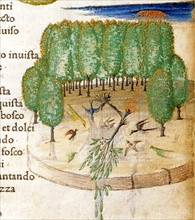 Illustration of Petrarque's "Canzoniere e Trionfi