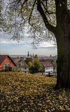 Vue de la ville d'Eisleben