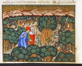 "La Divine Comédie", L'Enfer : Dante et Virgile dans la forêt des suicidés