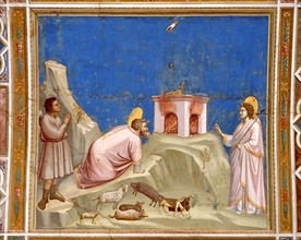 Giotto, Le sacrifice de Joachim
