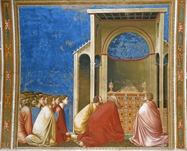 Giotto, La Prière des prétendants pour la Floraison des Rameaux