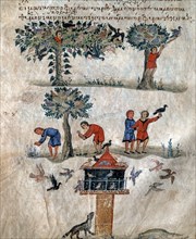 Oppian of Apamea, 'Cynegetica': Breeding, domestication and hunting of birds