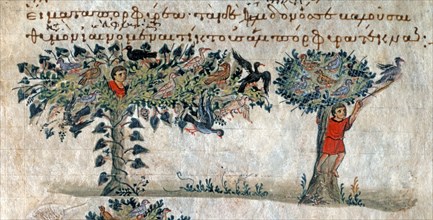 Oppian of Apamea, 'Cynegetica': Bird hunting with a net