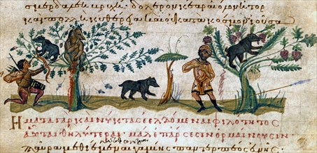 Oppien d'Apamée, "Cynégétiques" : Chasse à l'ours, et ours se nourrissant de glands et de raisins