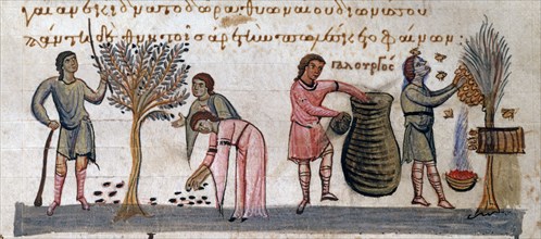 Oppian of Apamea, 'Cynegetica': The farmer's life. Harvesting olives and honey