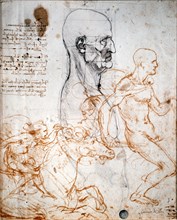 Facsimile d'un dessin de Léonard de Vinci