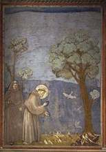 Giotto, Le sermon aux oiseaux
