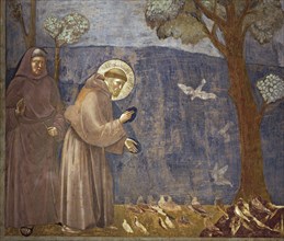 Giotto, Le sermon aux oiseaux (détail)