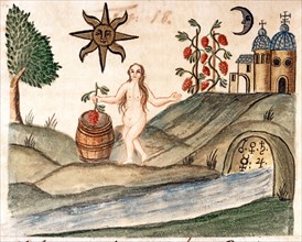 Purification du péché originel, à travers le moût divin et l'eau astrale du ruisseau, manuscrit alchimique "Clavis Artis" attribué à Zoroastre (Zarathoustra)