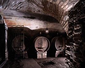 Ancienne cave à vin du château de Bornato (Italie)