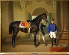 Pfeiffer, Portrait du cheval "Lucretia" dans la Münchner Residenz