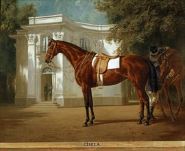 Pfeiffer, Portrait du cheval "Gisela" dans un coin du parc du château de Nymphenburg