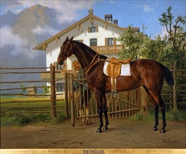 Pfeiffer, Portrait du cheval "Thorilde"