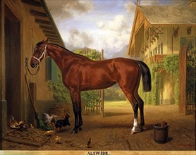 Pfeiffer, Portrait du cheval "Alswidr" dans les écuries des domaines royaux