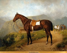 Pfeiffer, Portrait du cheval "Floridiana" au Berghausen sur le Brunnenkopf