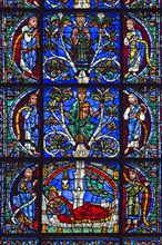 Stained glass window of the Chartres Cathedral