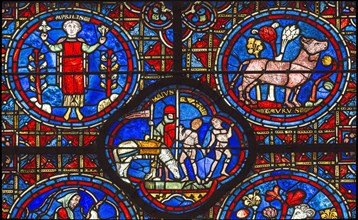 Chartres Cathedral, stained glass window of the Zodiac and the Works of the Months