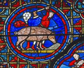 Abattage du cochon (vitrail de Chartres)