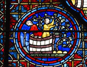 Les vendanges et le foulage du raisin (vitrail de Chartres)