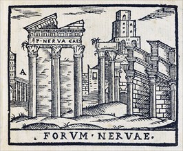 Forum Nervae: Forum of Nerva in Rome