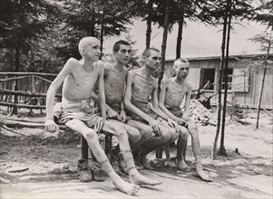 Libération du camp de concentration d'Ebensee (mai 1945)
