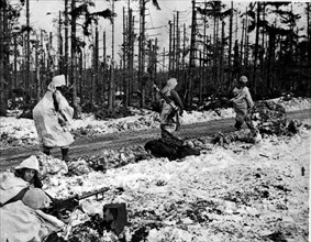 Des fantassins américains progressent dans la forêt de Monschau (Allemagne). février 1945