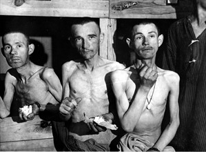 Libération du camp de concentration d'Ebensee, en Autriche.
(1945)