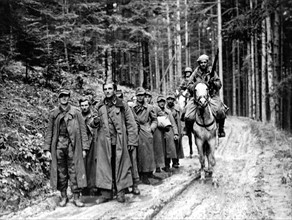 Prisonniers allemands sous la garde de la cavalerie française, dans la région de Kaysersberg, en Alsace.
(Décembre 1944)