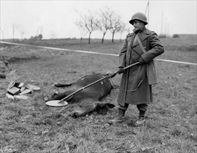 Un soldat du génie de l'U.S. Army recherchant des  mines dans la région de Laveline.
(18 novembre 1944)
