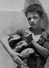 Un jeune sicilien reçoit sa ration de pain à Mazaro del Vallo, 3 août 1943