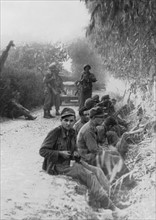 Prisonniers allemands près de San Fratello sur la côte nord de Sicile, 12 août 1943