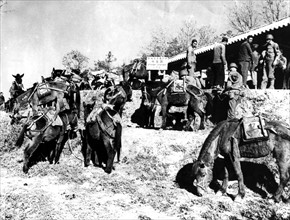 Des vétérinaires américains montrent aux Chinois comment charger le matériel sur les poneys, 1944