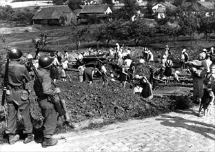 Des civils allemands creusent les tombes des travailleurs assassinés à Namering, mai 1945