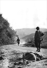 Soldats de la 5e armée alliée sur la ligne Gothique
(Automne 1944)
