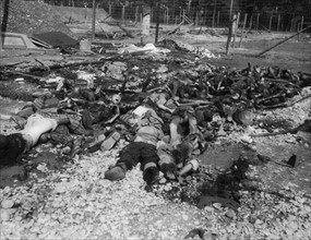 Victims bodies in Landberg camp await burial in Germany, April 29, 1945