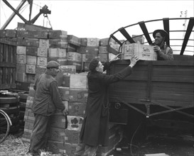 A Rouen, la France reçoit des approvisionnements de nourriture en provenance des Etats-Unis
(27 mars 1945)
