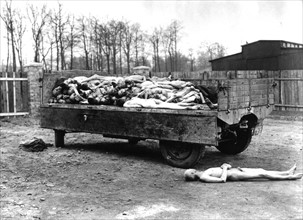 Thrid U.S. Army exposes horror of Buchenwald camp (April 13, 1945).