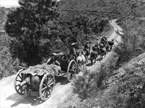 Sur une route de Birmanie, une arme de guerre moderne remorquée par un moyen de transport à l'ancienne. (Automne 1944)
