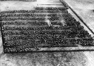 Third Reich - Prisoner camp at the Eastern front 1942