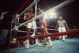 Die US-Schwergewichtsboxer Muhammad Ali (l) und George Foreman (M) kämpfen am 30.101974 in Kinshasa