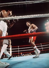 Muhammad Ali (l.) fixiert von Seilen aus in der sechsten Runde des Weltmeisterschaftskampfes am 30.