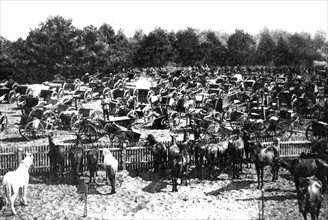 World War I - Battle of Tannenberg