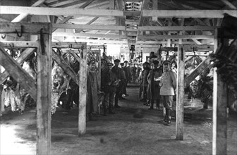 World War I - Slaughterhouse in Russia