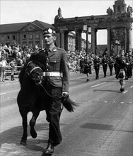 Scottish pony at military parade on the 'Armed Forces Day' in Berlin