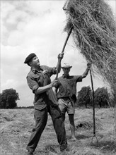 British soldiers on working holidays on German farms